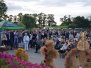 Dożynki 2013
